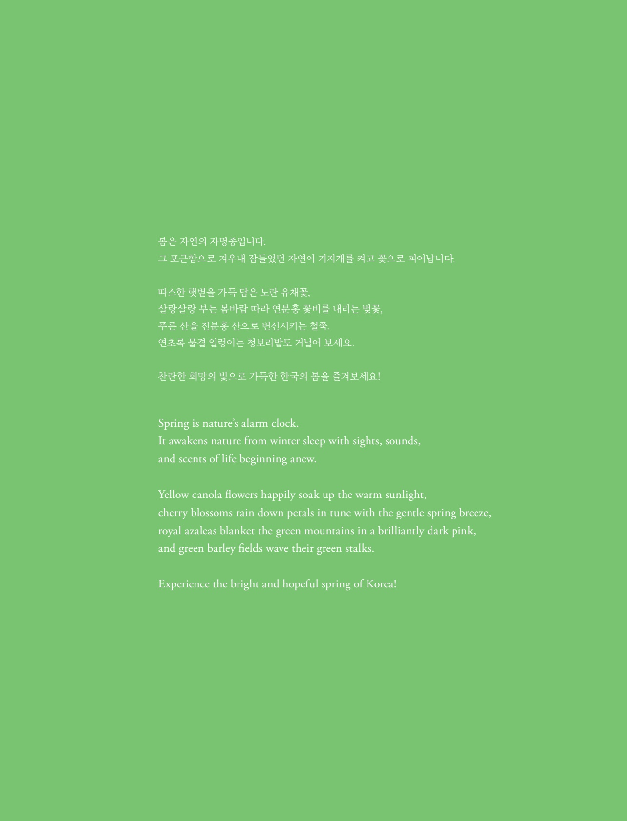 페이지