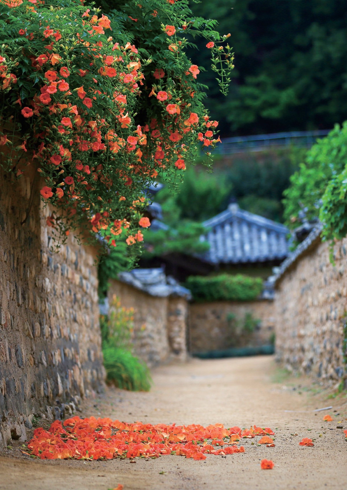 페이지